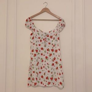 ZARA Rosebud Mini Dress with Capulet Sleeve